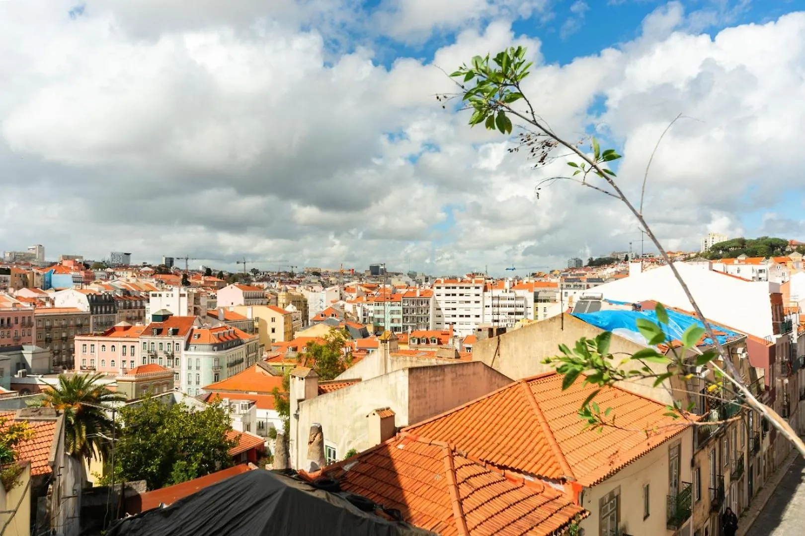 Gorgeous Rooftop 2-Bed Apt With Beautiful View Lissabon 0*,  Portugal
